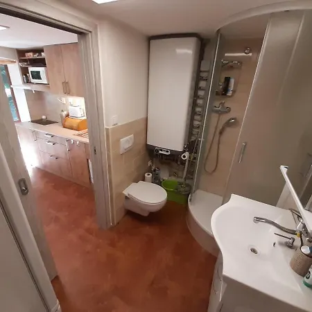 בית נופש Zajicovi